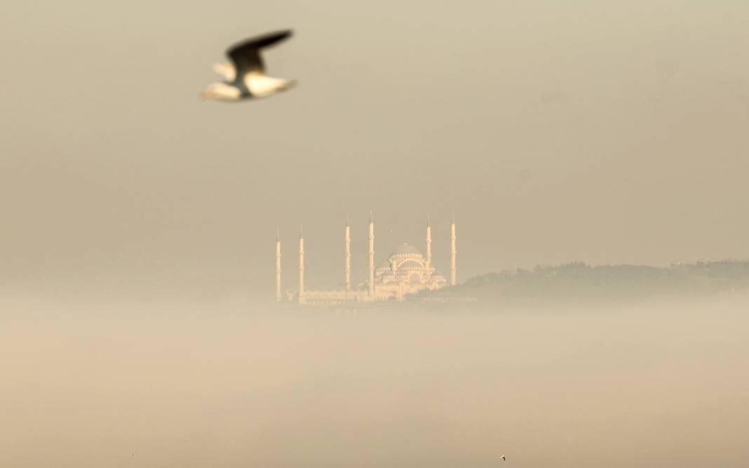İstanbullular bu uyarıya kulak verin: Son derece riskli! Her yıl 44 bin kişi bu nedenle hayatını kaybediyor 12